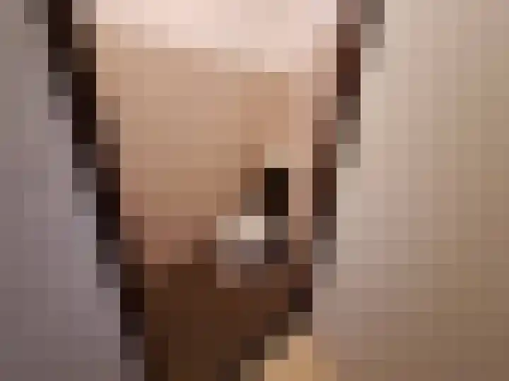 Zonnedauw 20 Sleen thumbnail 34