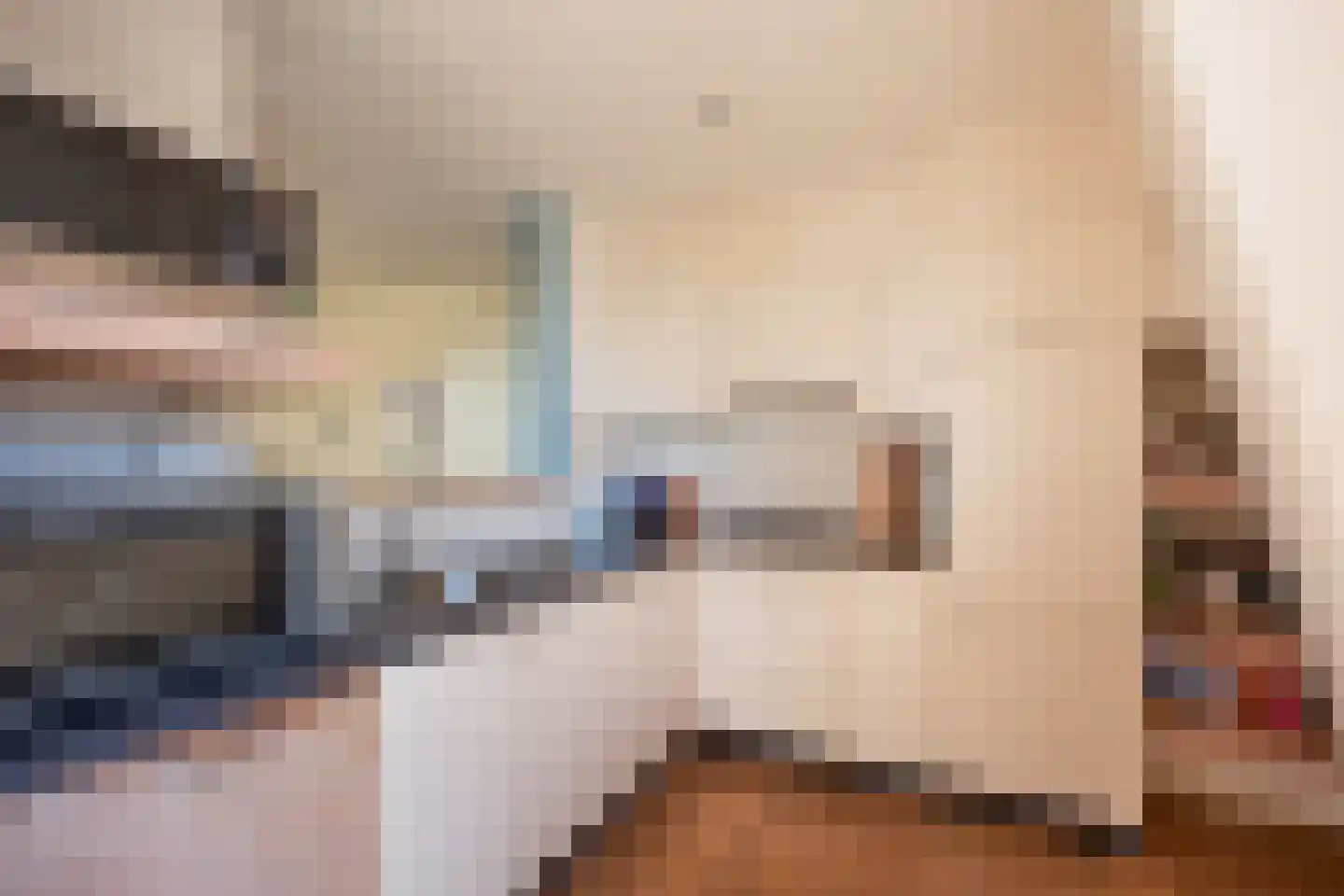 Zonnedauw 20 Sleen thumbnail 43