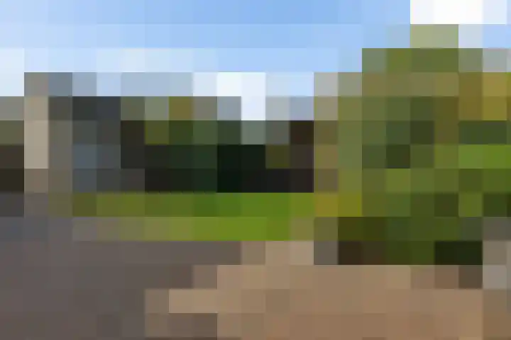 Zonnedauw 20 Sleen thumbnail 44