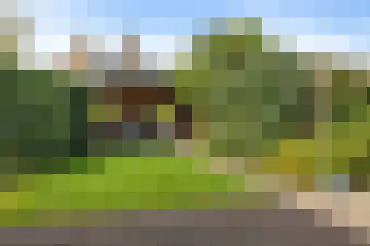 Zonnedauw 20 Sleen thumbnail 45