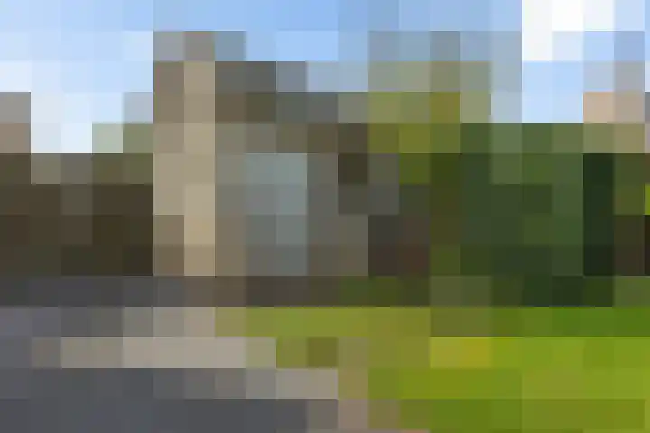 Zonnedauw 20 Sleen thumbnail 46
