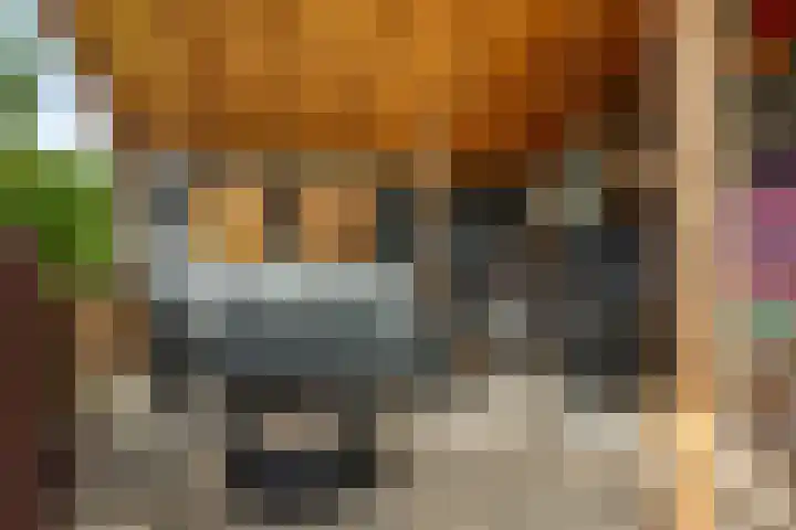 Zonnedauw 20 Sleen thumbnail 49