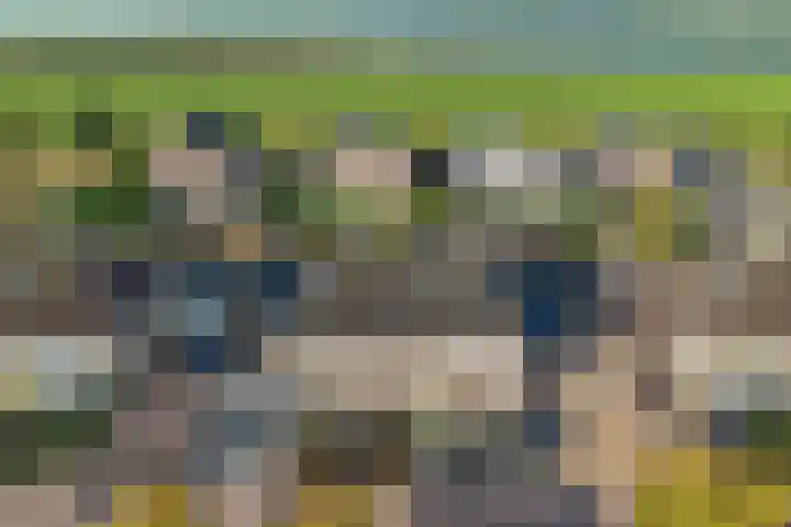 Zonnedauw 20 Sleen thumbnail 5