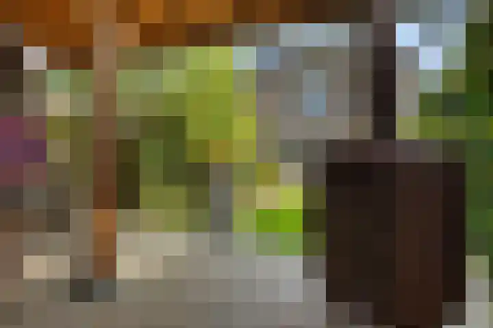 Zonnedauw 20 Sleen thumbnail 50