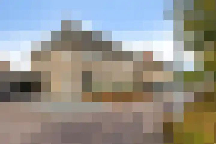 Zonnedauw 20 Sleen thumbnail 53