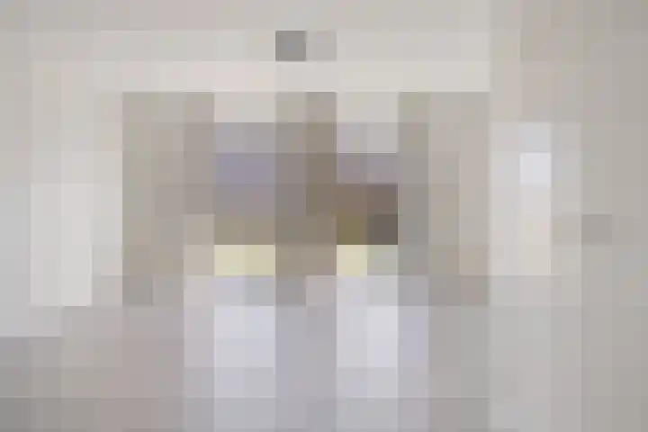 Zonnedauw 20 Sleen thumbnail 7