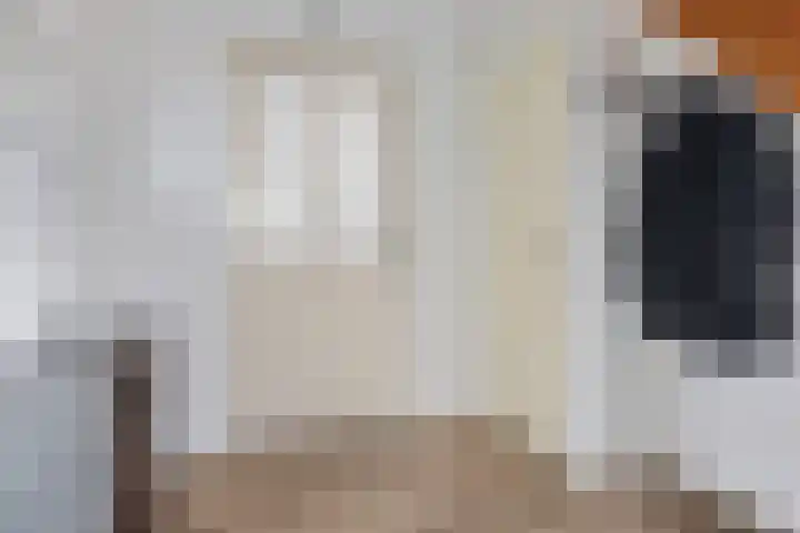 Zonnedauw 20 Sleen thumbnail 8
