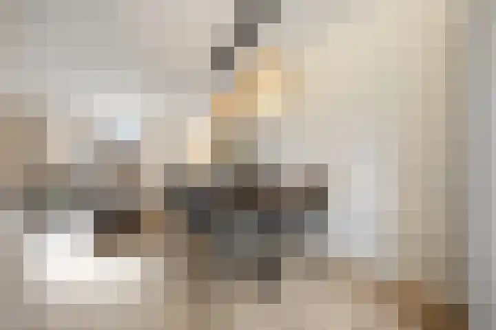 Zonnedauw 55 Stroe thumbnail 14