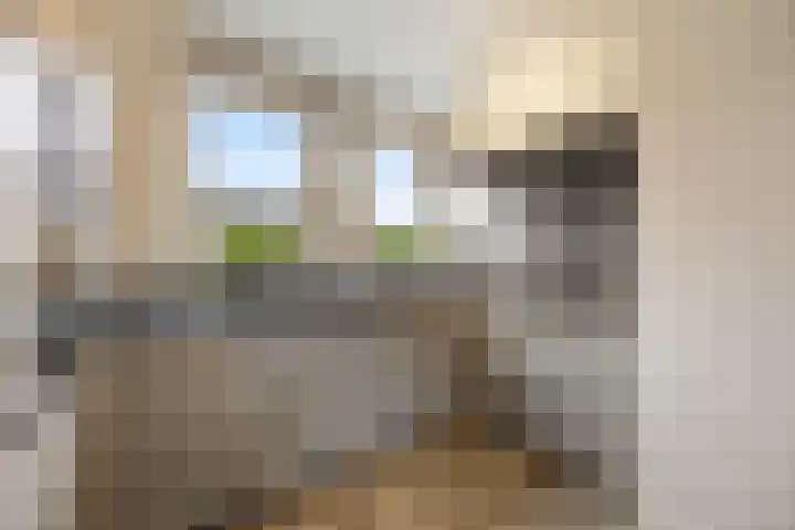 Zonnedauw 55 Stroe thumbnail 15