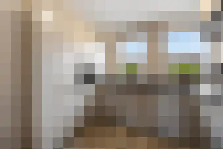 Zonnedauw 55 Stroe thumbnail 16