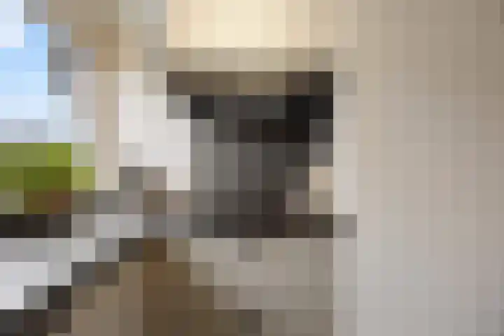Zonnedauw 55 Stroe thumbnail 17