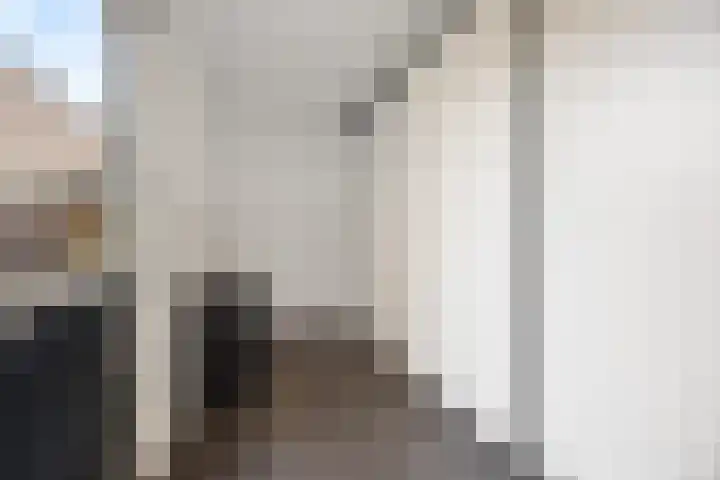 Zonnedauw 55 Stroe thumbnail 19