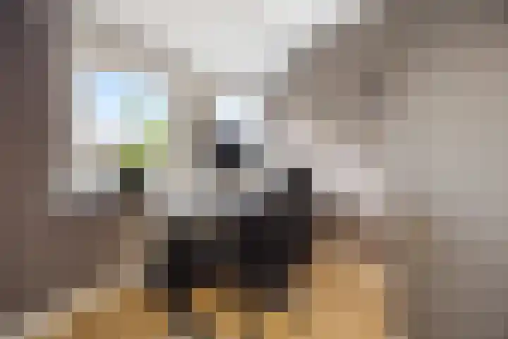 Zonnedauw 55 Stroe thumbnail 25