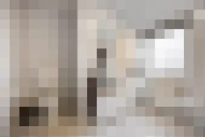 Zonnedauw 55 Stroe thumbnail 27