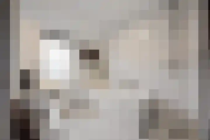 Zonnedauw 55 Stroe thumbnail 28
