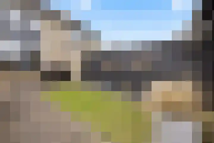 Zonnedauw 55 Stroe thumbnail 33