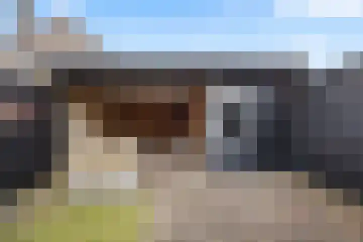 Zonnedauw 55 Stroe thumbnail 36