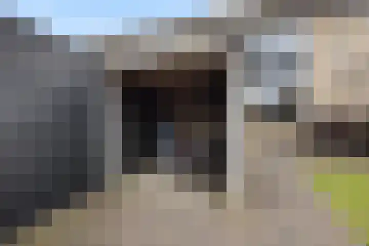 Zonnedauw 55 Stroe thumbnail 39
