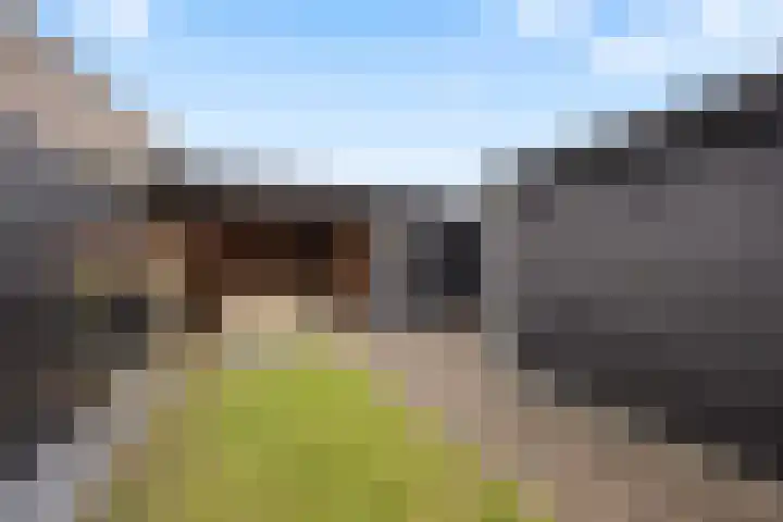 Zonnedauw 55 Stroe thumbnail 4