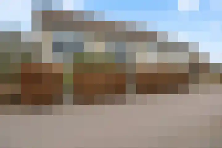 Zonnedauw 55 Stroe thumbnail 41