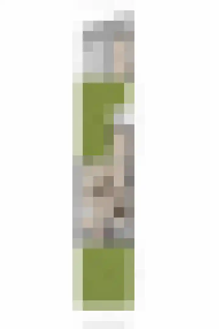 Zonnedauw 55 Stroe thumbnail 48