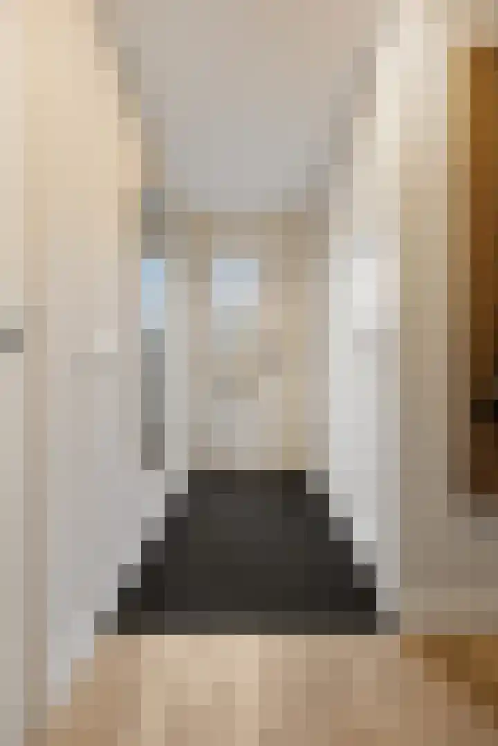Zonnedauw 55 Stroe thumbnail 5