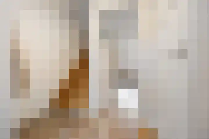 Zonnedauw 55 Stroe thumbnail 7