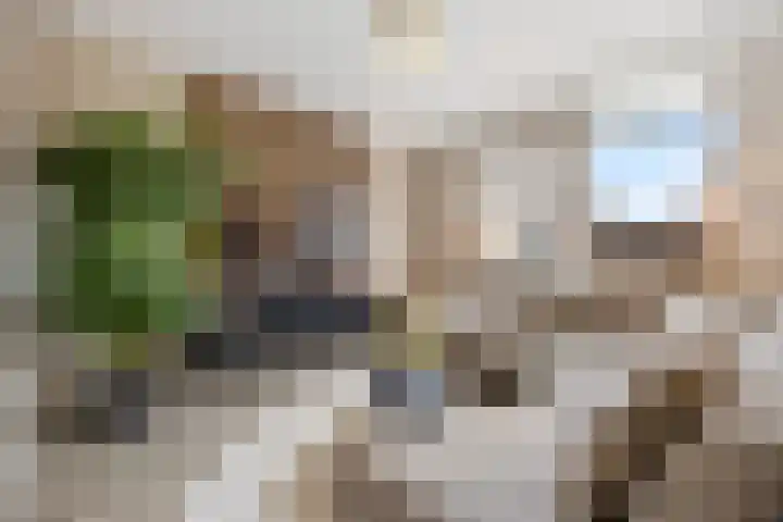 Zonnedauw 55 Stroe thumbnail 8