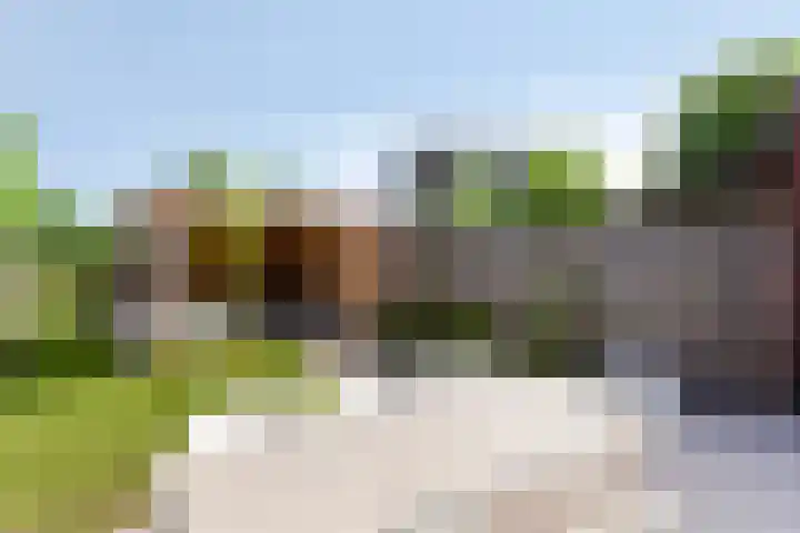 Zonneglans 4 Boxtel thumbnail 21
