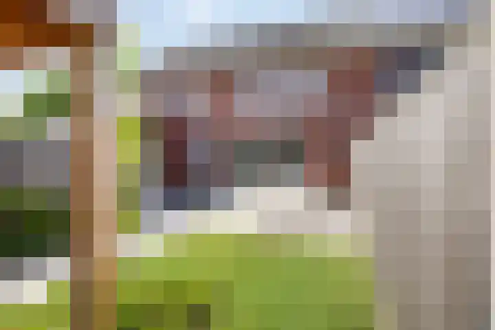 Zonneglans 4 Boxtel thumbnail 23