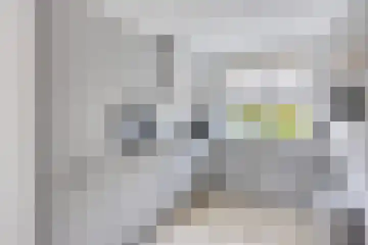 Zonneglans 4 Boxtel thumbnail 9