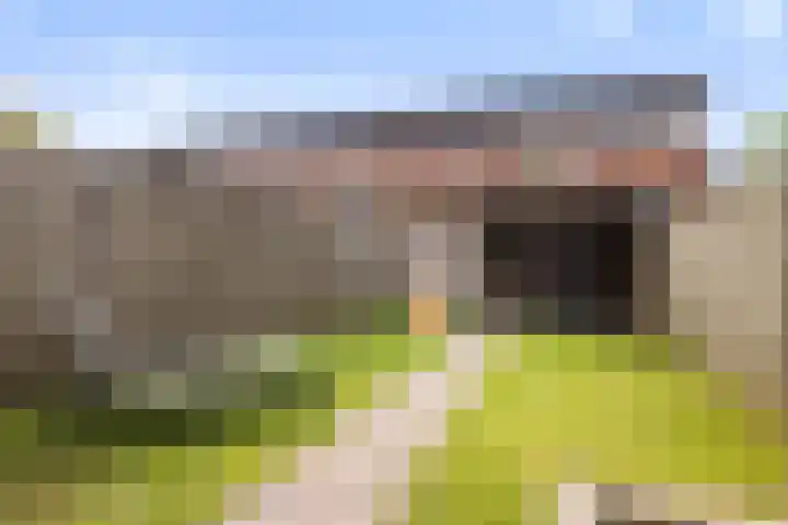 Zonnegloren 15 Boxtel thumbnail 39
