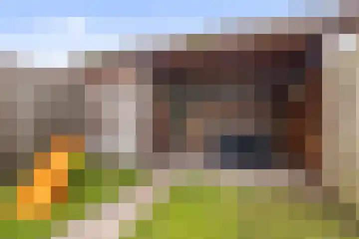 Zonnegloren 15 Boxtel thumbnail 40