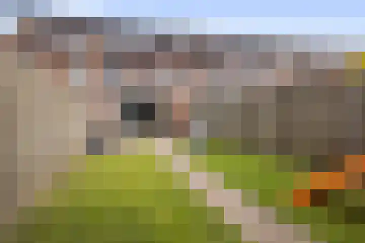 Zonnegloren 15 Boxtel thumbnail 41