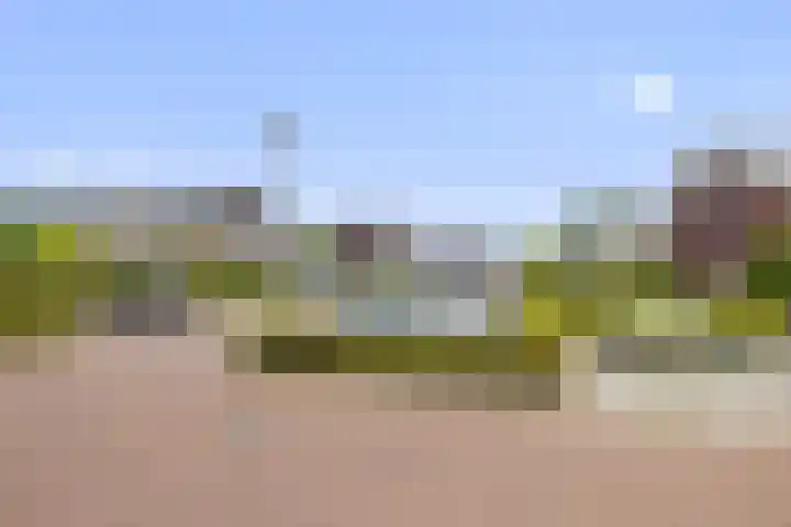 Zonnegloren 15 Boxtel thumbnail 46