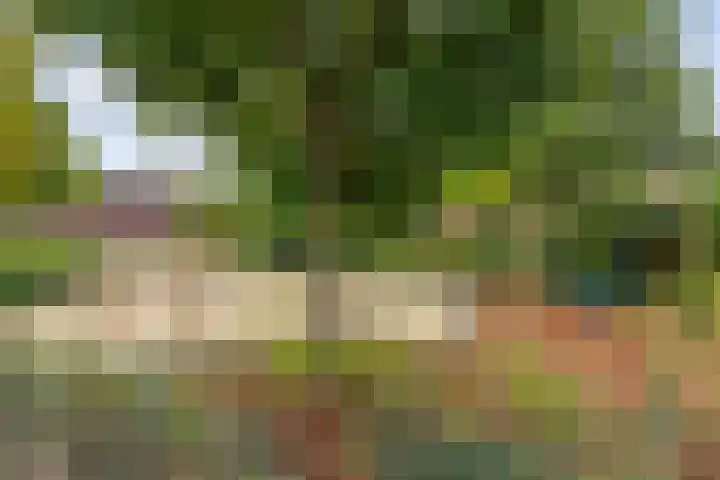 Zonnegloren 15 Boxtel thumbnail 47