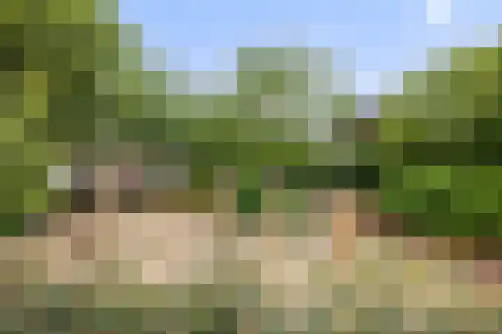 Zonnegloren 15 Boxtel thumbnail 48
