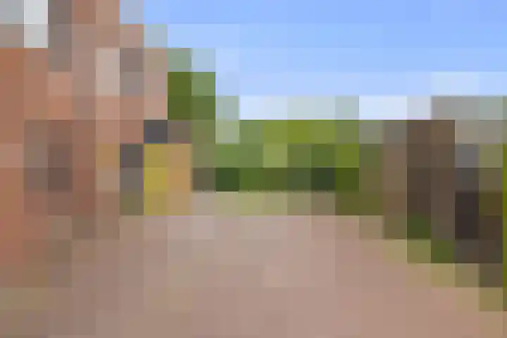 Zonnegloren 15 Boxtel thumbnail 9