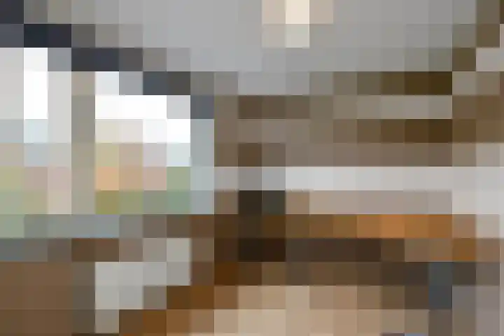 Zonnegloren 9 Elst thumbnail 18