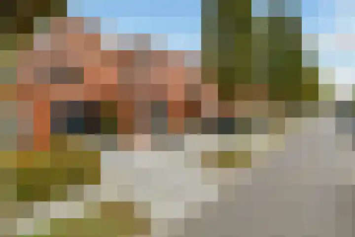 Zonnegloren 9 Elst foto 2