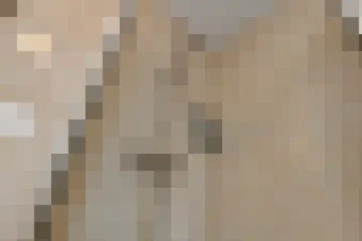 Zonnegloren 9 Elst thumbnail 22