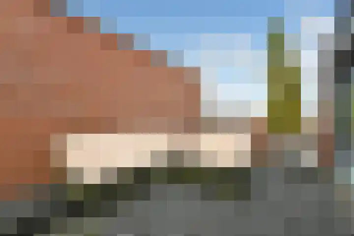 Zonnegloren 9 Elst thumbnail 26