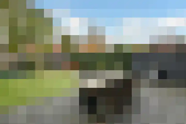 Zonnegloren 9 Elst thumbnail 29