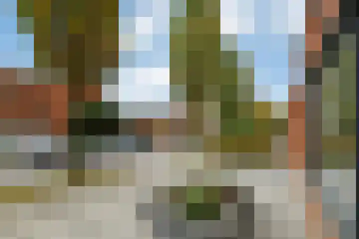 Zonnegloren 9 Elst thumbnail 37