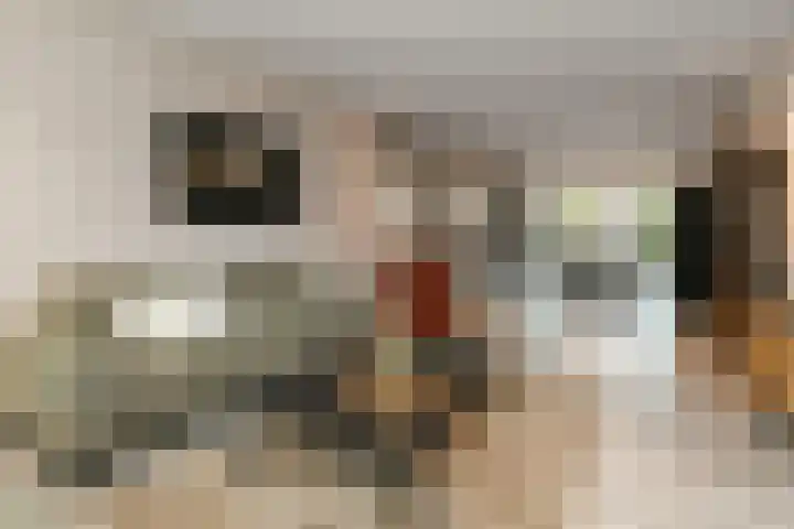 Zonnegloren 9 Elst thumbnail 5