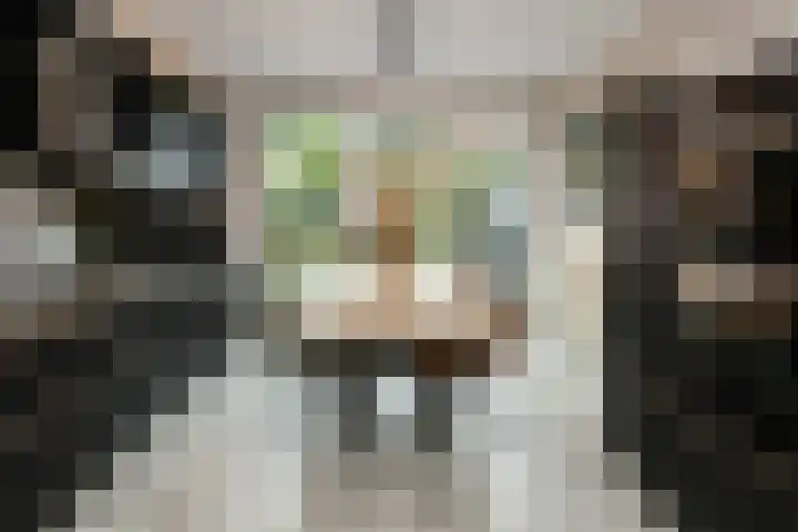 Zonnegloren 9 Elst thumbnail 7