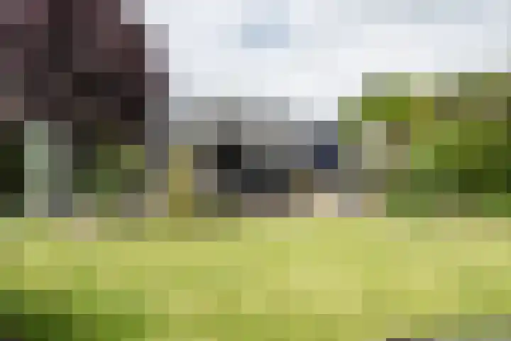 Zonnehoek 100 dans Vijfhuizen