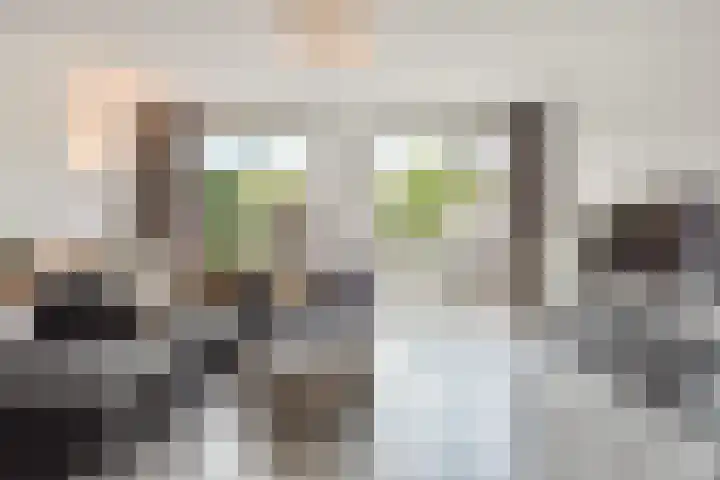 Zonnehof 68 Nootdorp thumbnail 10