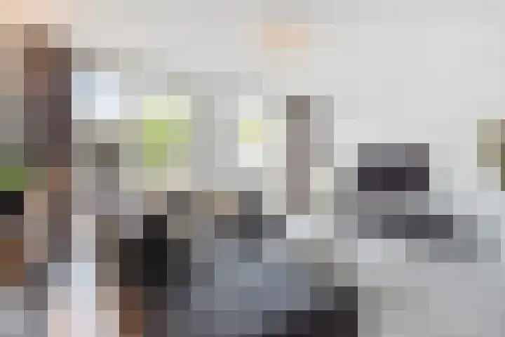 Zonnehof 68 Nootdorp thumbnail 11