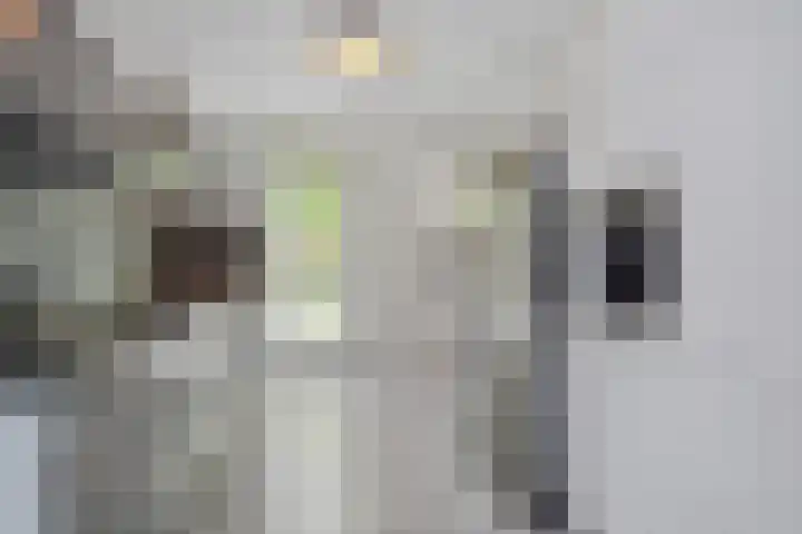 Zonnehof 68 Nootdorp thumbnail 13